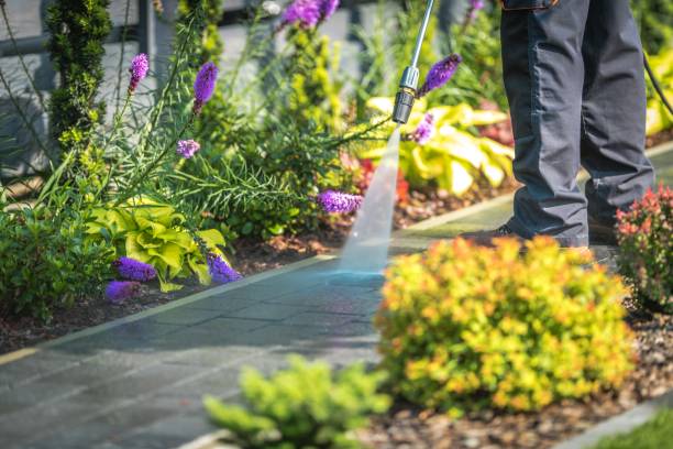 Best Animal Enclosure Cleaning  in Robinson, TX